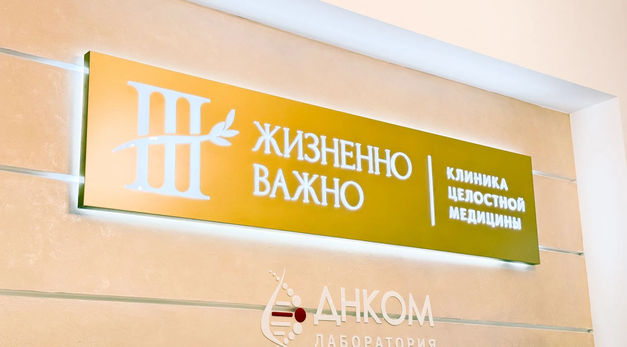 Комплексное оформление медицинской клиники: световая вывеска, входная группа и навигация фото