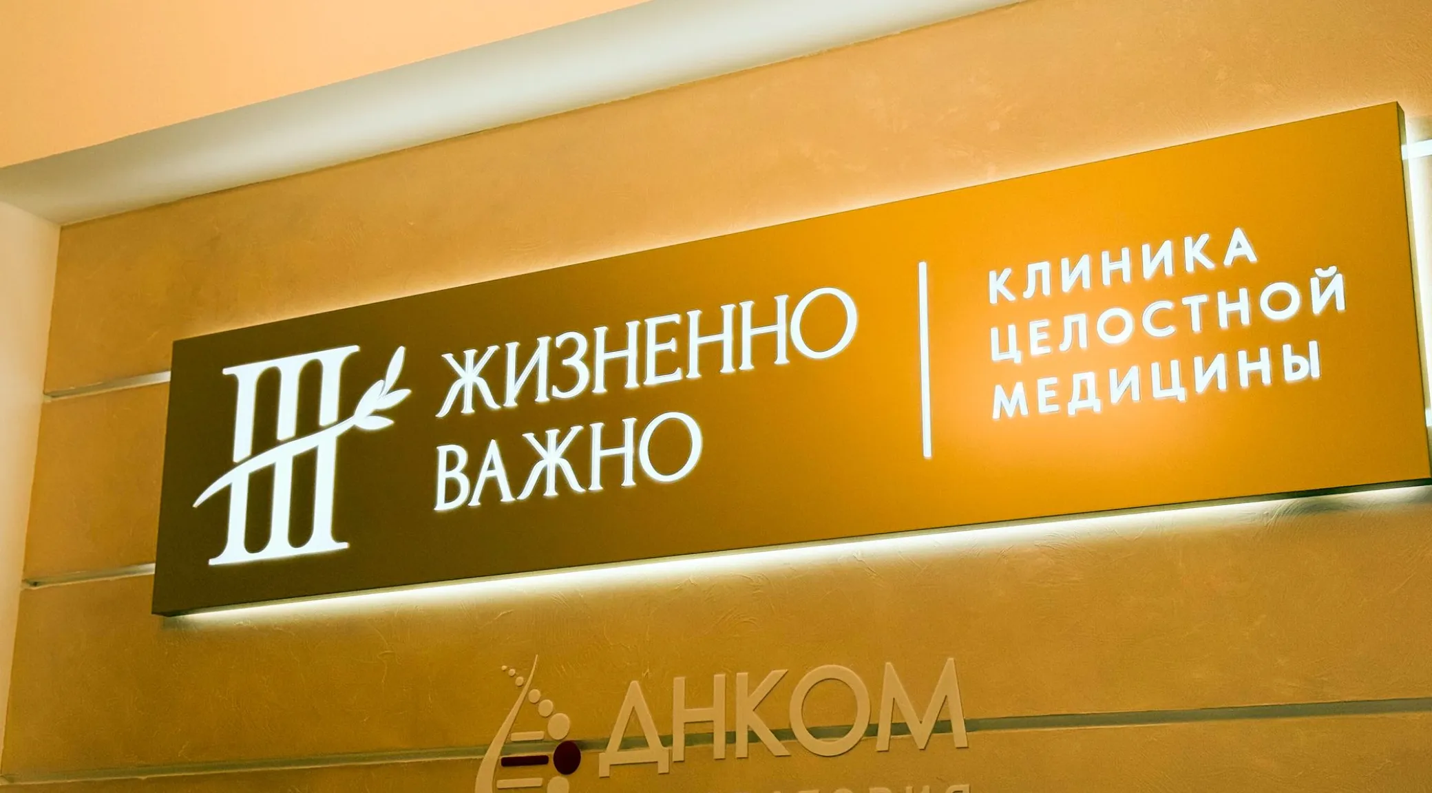 Комплексное оформление медицинской клиники: световая вывеска, входная группа и навигация фото