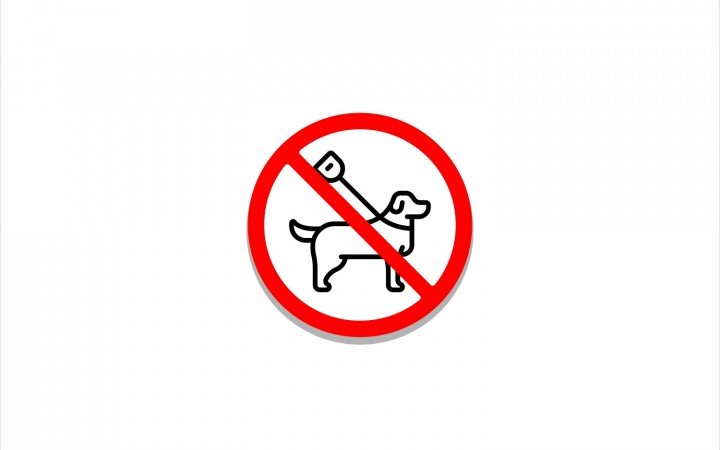 вход с животными запрещен табличка 