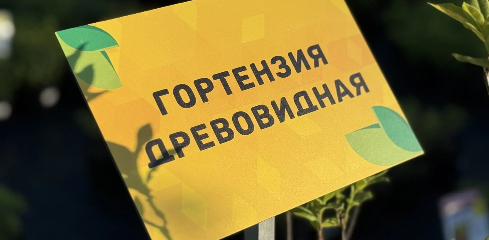 Информационные и запрещающие таблички фото