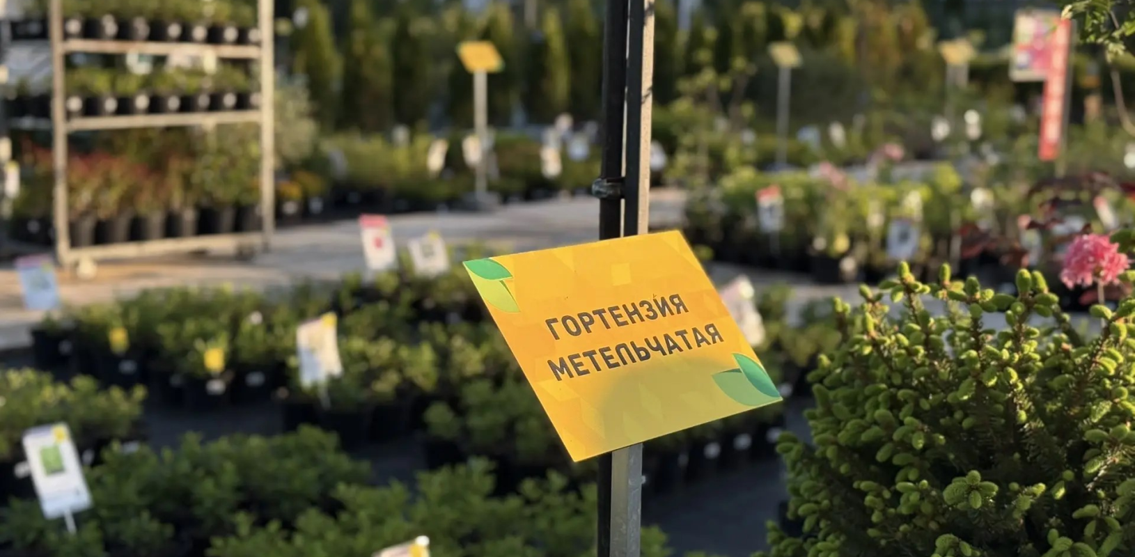 Информационные и запрещающие таблички фото