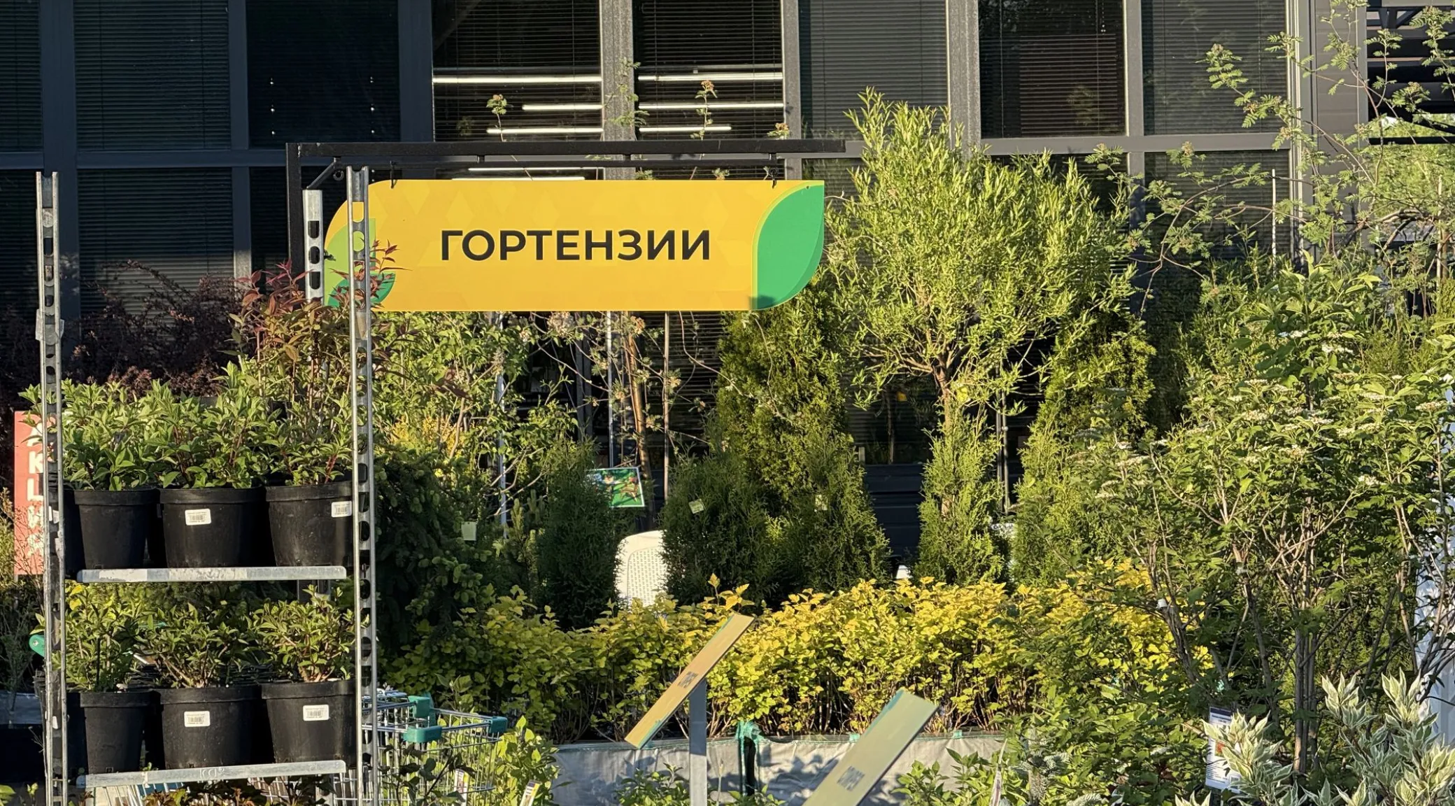 Оформление магазина цветов «Первоцвет» — изготовление вывески и наружной рекламы фото