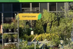 Оформление магазина цветов «Первоцвет» — изготовление вывески и наружной рекламы фото